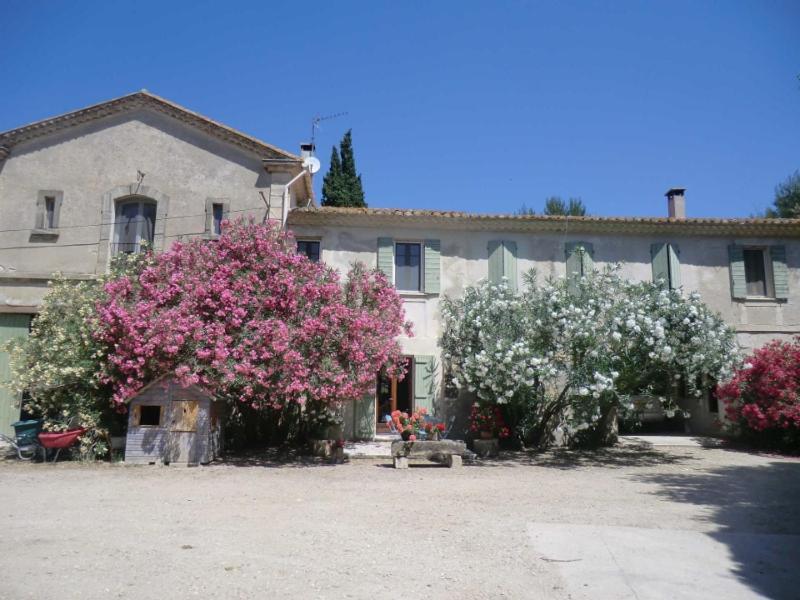 Bed and Breakfast Mas D'Auzieres Saint-Gilles  Exterior foto
